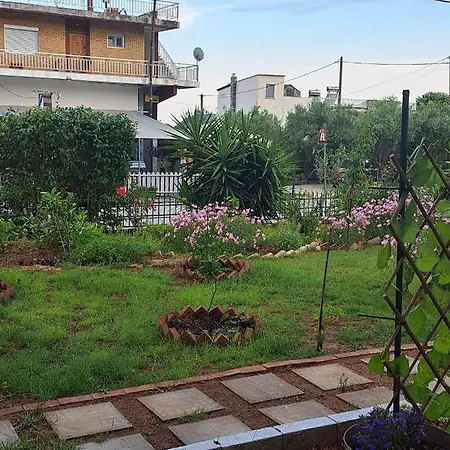 Elegance * PalaiónTsiflíkion