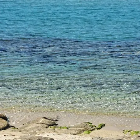 Elegance * PalaiónTsiflíkion