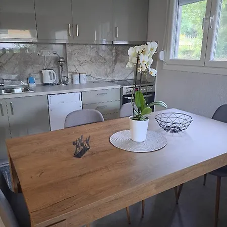 Elegance * PalaiónTsiflíkion