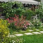 Elegance Апартаменты